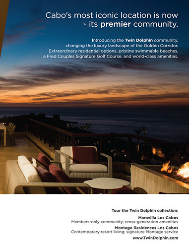 Twin Dolphin Development Print Advertising