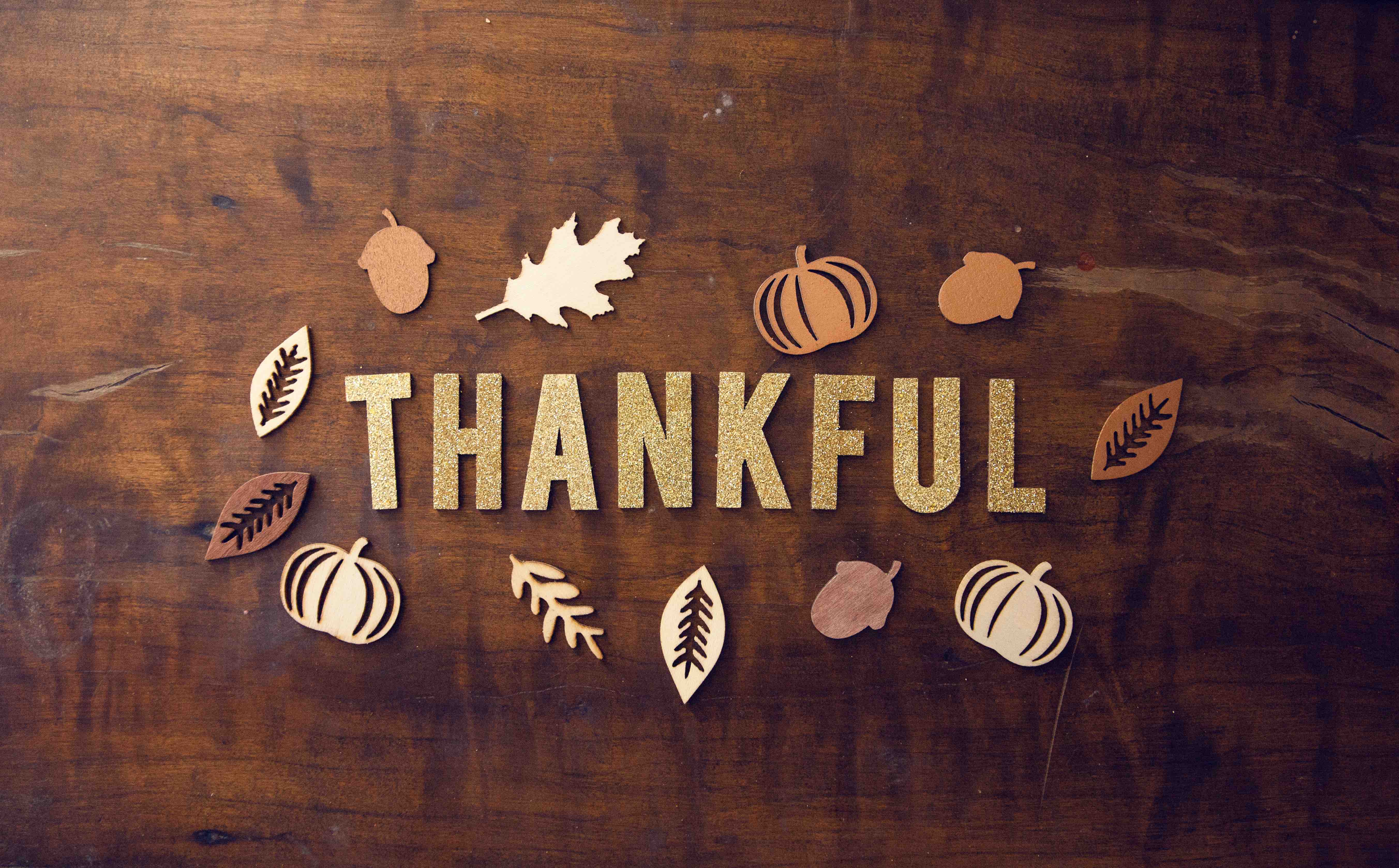 Thanksgiving Marketing Campaigns Your Business Should Try